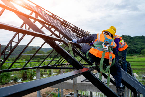 Best Shingle Roofing Installation  in Camp Point, IL