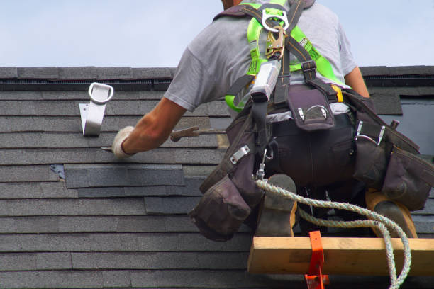Best Roof Repair Services  in Camp Point, IL