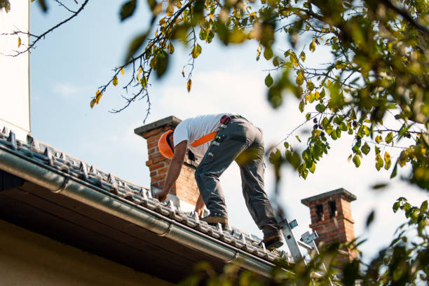 Best Local Roofing Companies  in Camp Point, IL