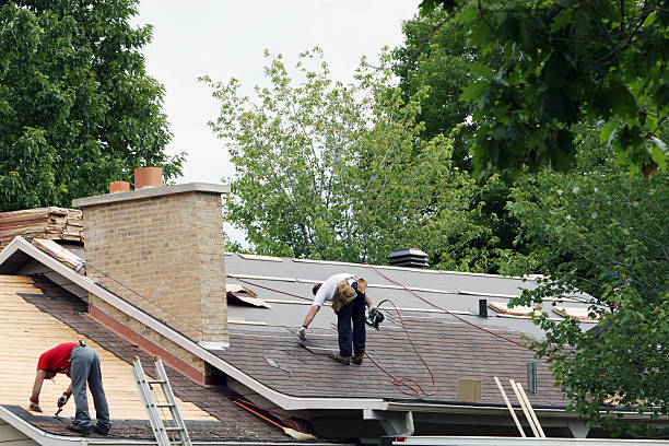 Best Roof Gutter Cleaning  in Camp Point, IL