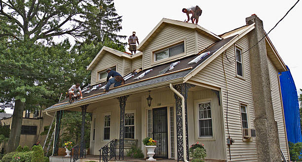 Best Gutter Installation and Roofing  in Camp Point, IL